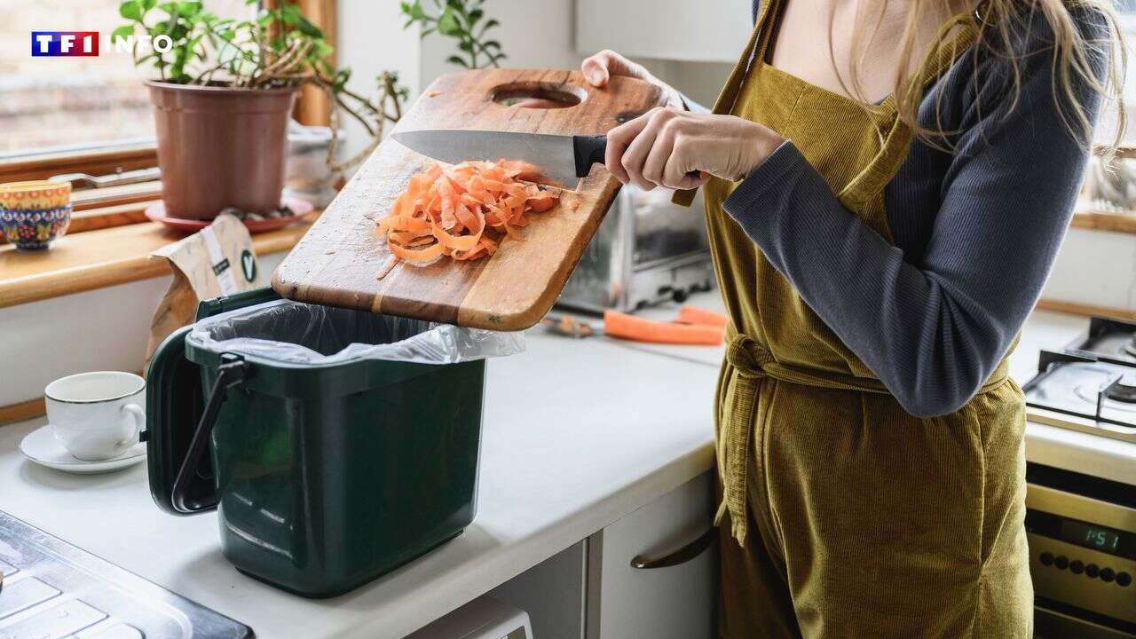 Épluchures, marc de café, coquilles d'œuf… Composter ses déchets organiques est désormais obligatoire