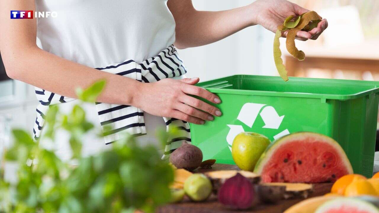 Compost obligatoire : de nouvelles poubelles installées progressivement à Nantes