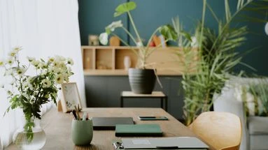 Comment créer un intérieur naturel grâce au design biophilique ?
