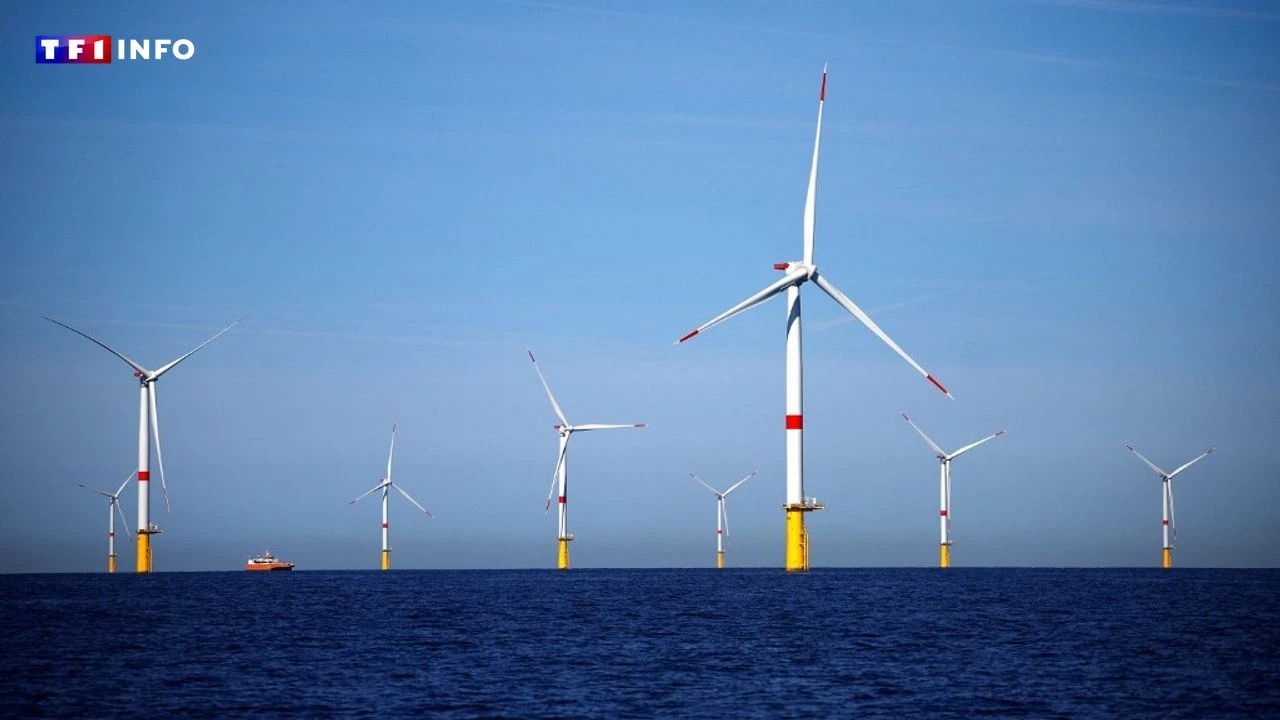 Énergie solaire, éolien en mer et nucléaire : le plan de la France pour sortir des énergies fossiles