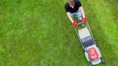 Les cinq erreurs à ne pas commettre quand on tond la pelouse