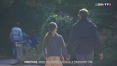 Héritage : 9 000 milliards d'euros à transmettre