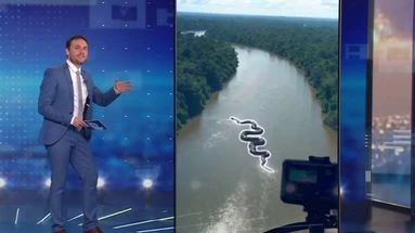 VÉRIF' - Vidéos générées par IA : faux serpents géants, mais vrai business