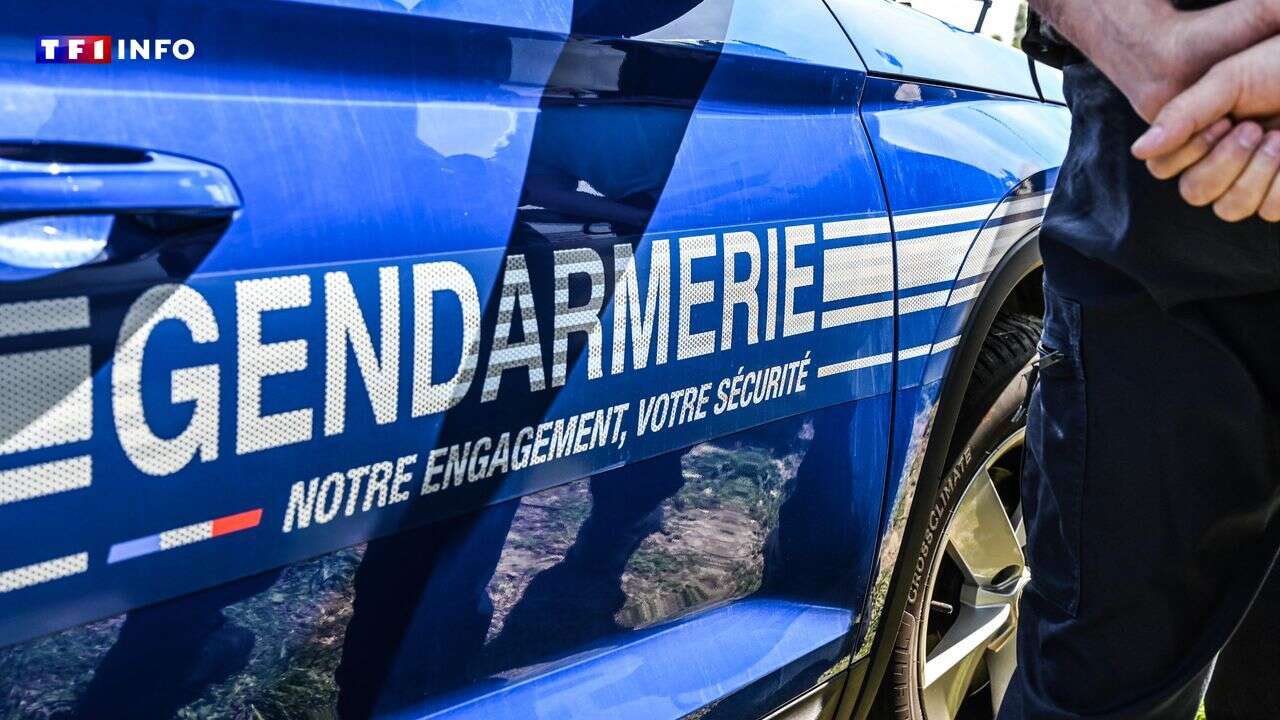 Drôme : un mort et quatre blessés dans une violente rixe lors d'une fête de village