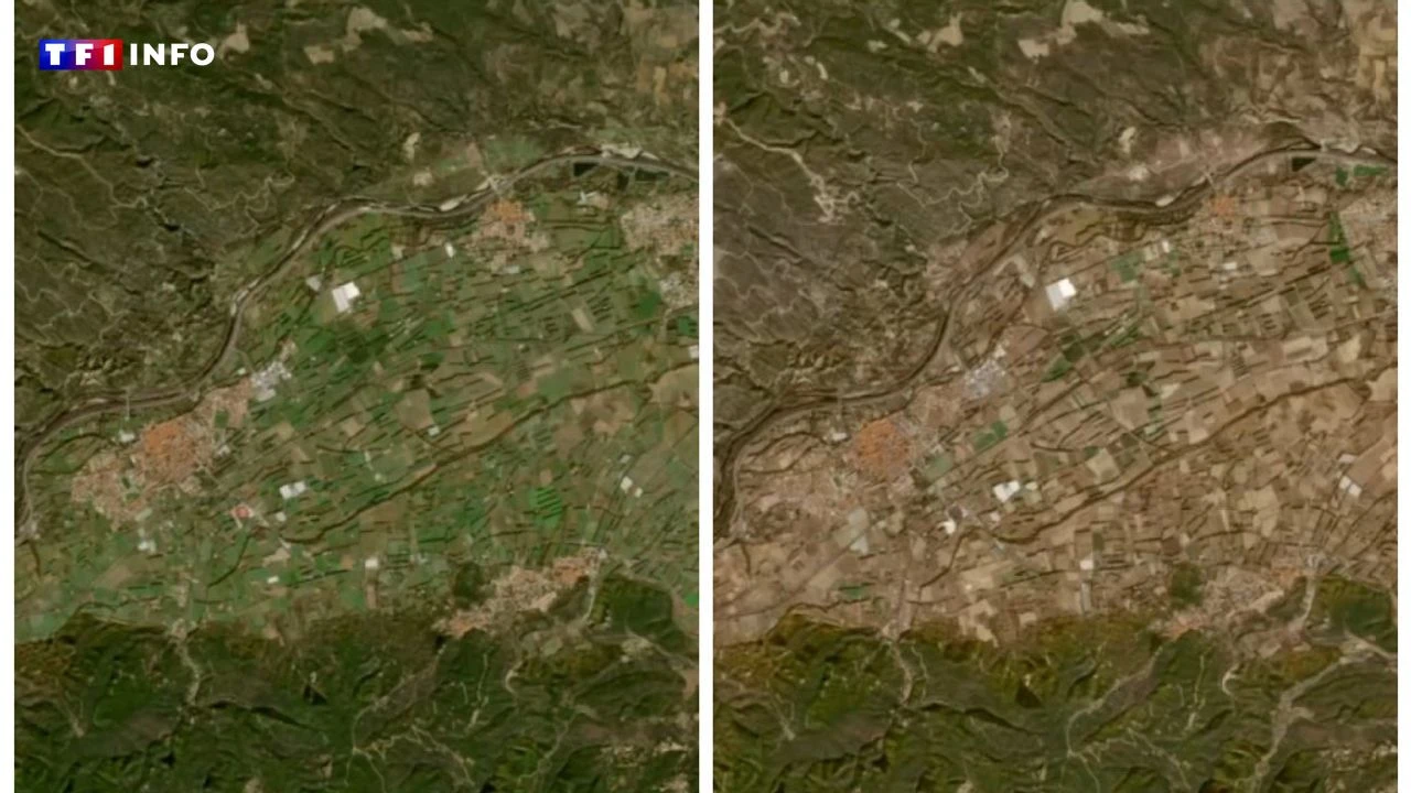 VIDÉO - Sécheresse dans les Pyrénées-Orientales : vu du ciel, le département a changé de couleur