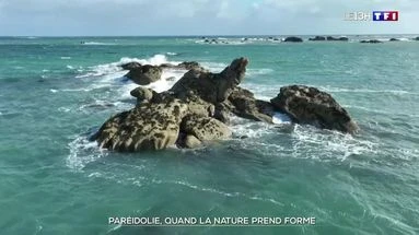Paréidolie : quand la nature prend forme