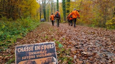 Orne : deux chasseurs condamnés à de la prison pour avoir tué accidentellement un agriculteur