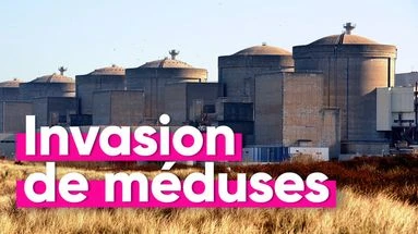 Comment le réchauffement climatique a provoqué l'arrêt d'une centrale nucléaire ?