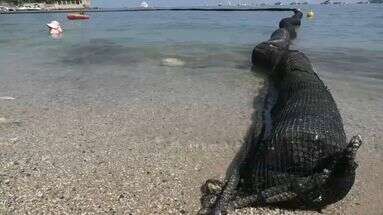 Filets anti-méduses, couloirs de natation... La Côte d'Azur aux petits soins avec ses plages