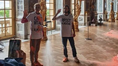 Versailles : deux militants interpellés après une action à la galerie des Glaces
