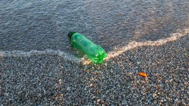 Comment savoir si la plage de mes vacances est polluée avant de m'y baigner ?