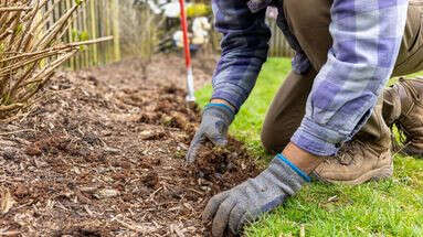 Ces 4 termes incontournables pour parler comme un expert du jardinage