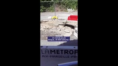 Marseille : un nid de poule bloque... 15 000 voitures !