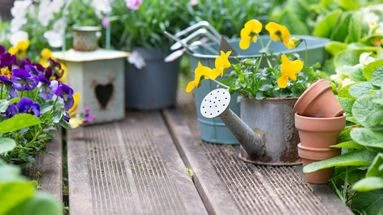 Mai au jardin : voici ce qui attend les jardiniers