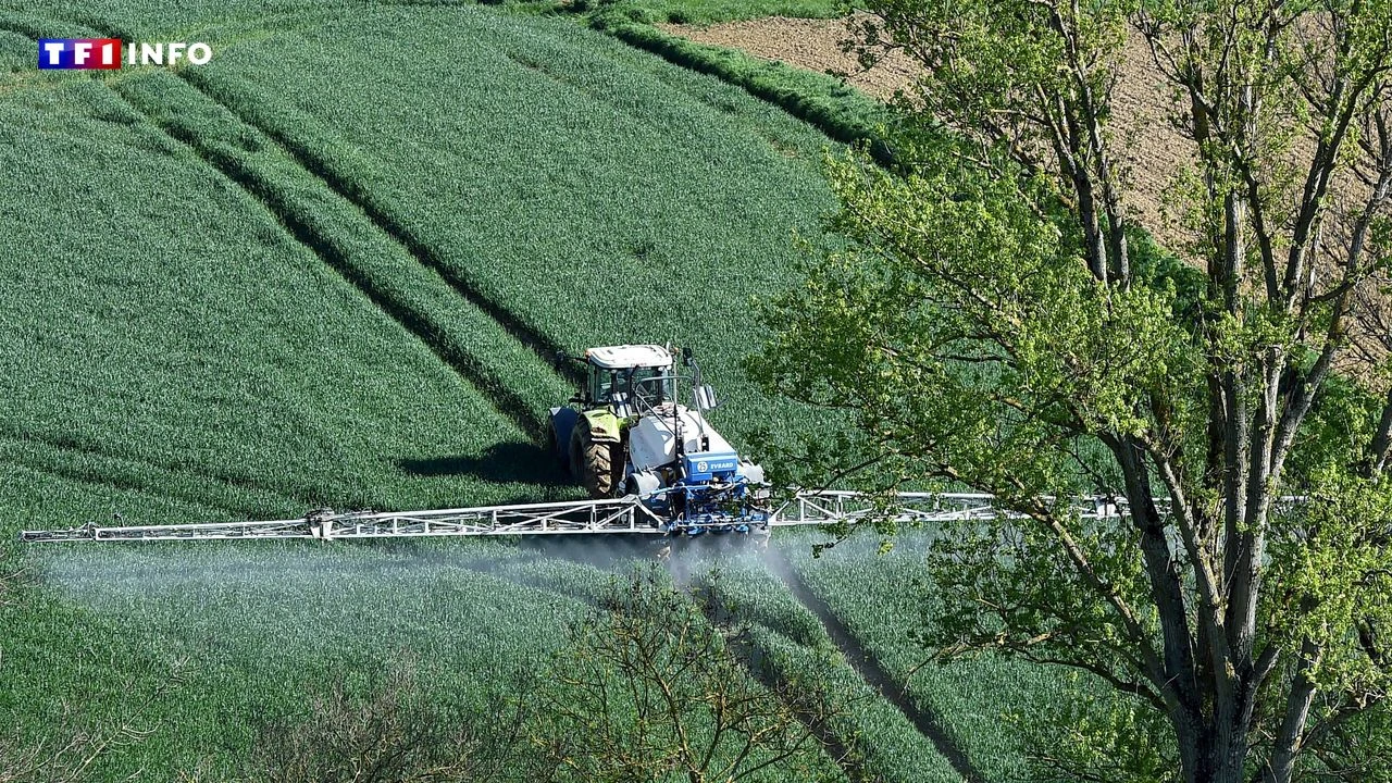 Pesticides : la France pourrait changer sa manière de les mesurer et voici comment