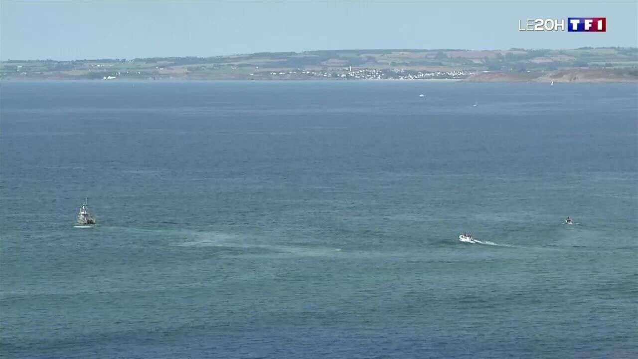 Finistère : ils veulent sauver la baleine !