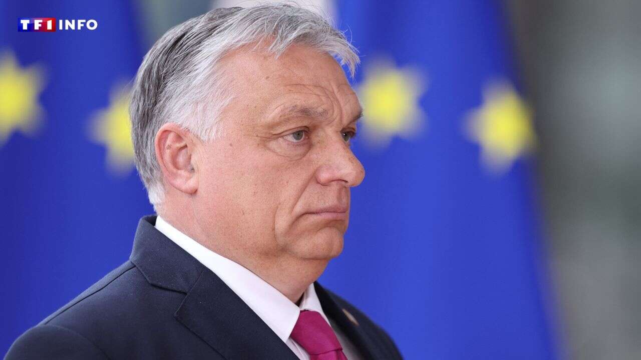 Aux États-Unis, des alliés de Viktor Orban œuvrent-ils avec des élus Républicains pour mettre fin à l'aide à l'Ukraine ?