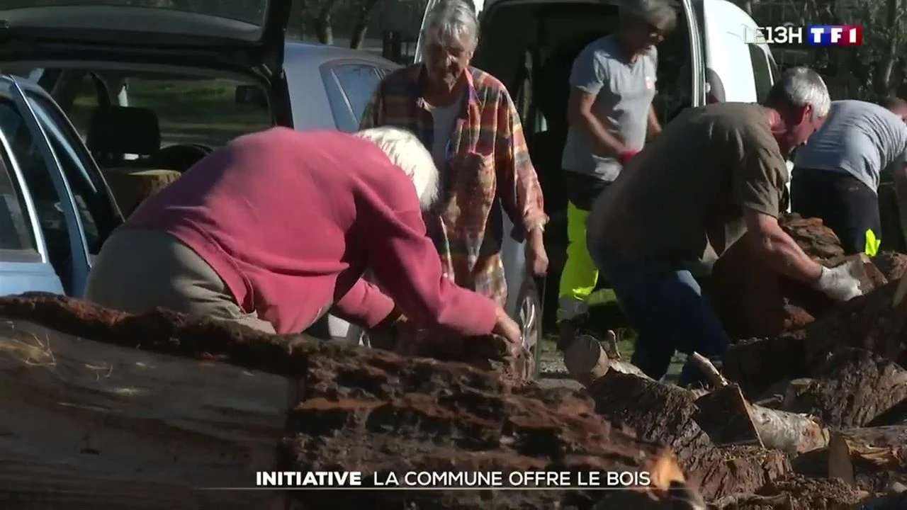 Initiative : la commune offre le bois