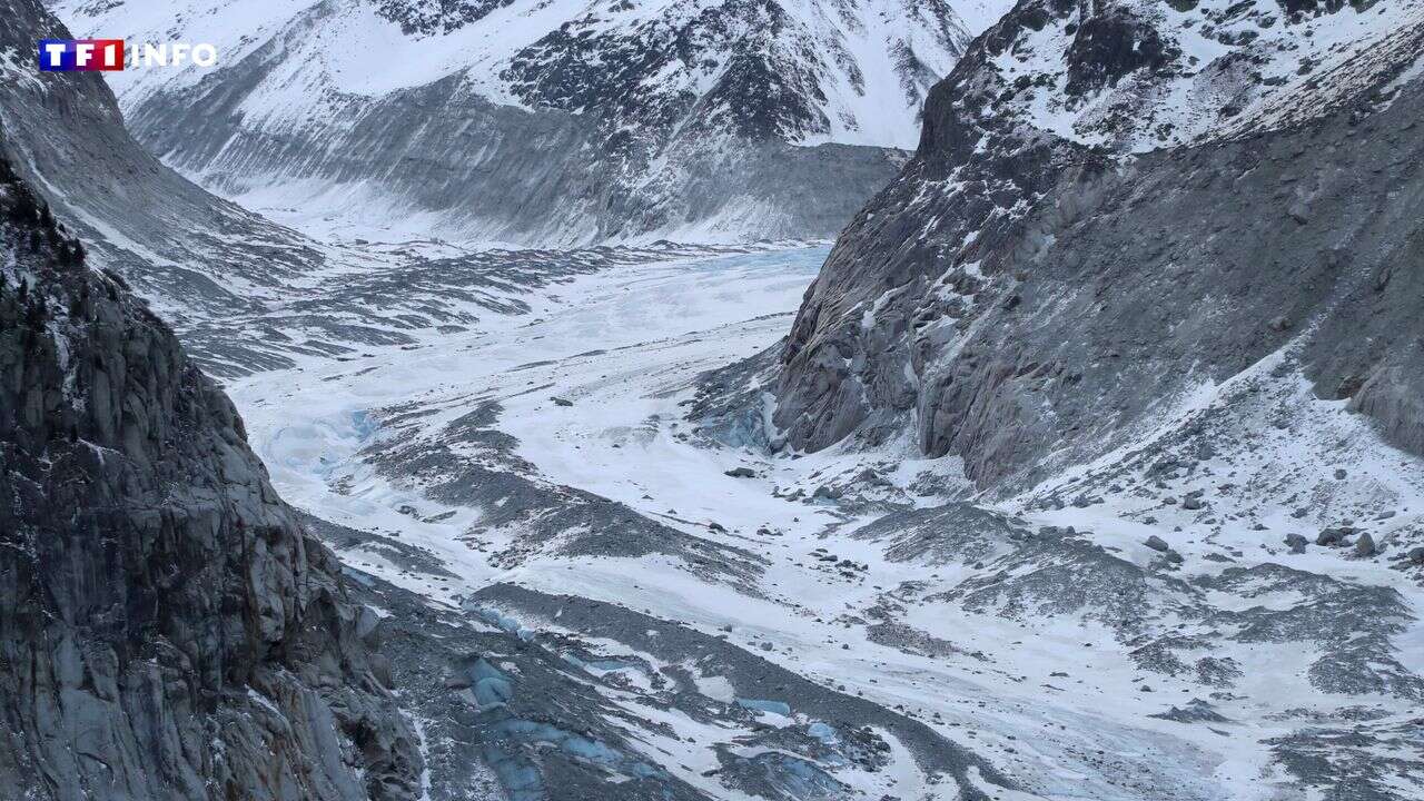 Alpes : un tiers du volume des glaciers 