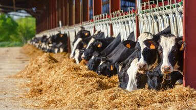 Agriculture : le gouvernement annonce des mesures de simplification pour réduire 