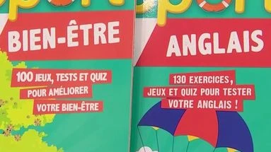 Les cahiers de vacances pour adultes ont le vent en poupe : 