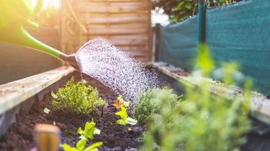 Jardiniers, les vacances sont finies... il est déjà temps de préparer votre potager à l'automne !