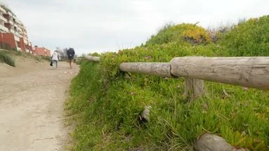 Griffes de sorcière, ragondins : et si on mangeait ces espèces invasives pour s'en débarrasser ?