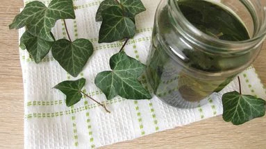 Le saviez-vous ? Vous pouvez préparer votre propre lessive maison grâce à cette plante