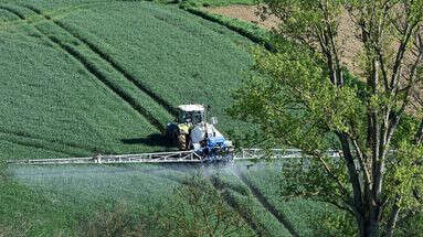 Cancers pédiatriques : des traces de pesticides retrouvées chez des enfants près de La Rochelle