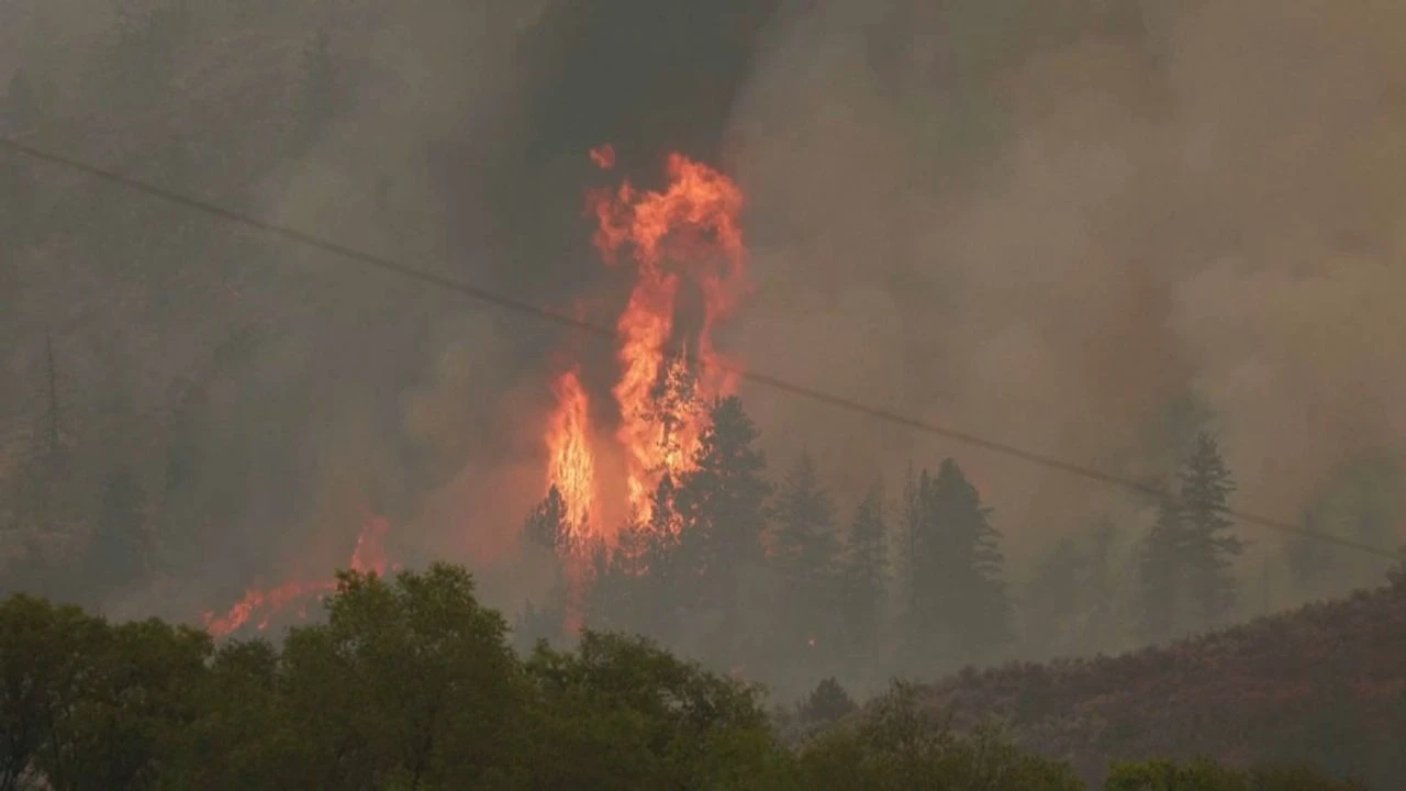 VIDÉO - Mégafeux au Canada : 600 foyers toujours hors de contrôle