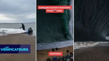 VÉRIF' - Tsunami dans le Pacifique : de fausses images sensationnalistes s'invitent sur les réseaux sociaux