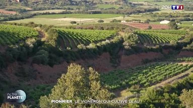 Pionnier : le vigneron qui cultive l'eau !