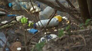 VIDÉO - Après la crue, des tonnes de plastique échoués sur les bords de Seine : mais d'où viennent ces déchets ?