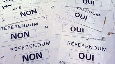 Institutions, économie... Emmanuel Macron peut-il organiser plusieurs référendums en même temps ?
