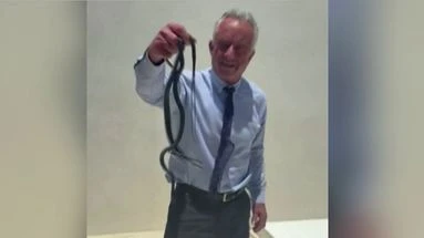 Morsure de serpent, baleine décapitée, cerveau rongé par un ver : le rapport étrange aux animaux de Robert Kennedy Jr