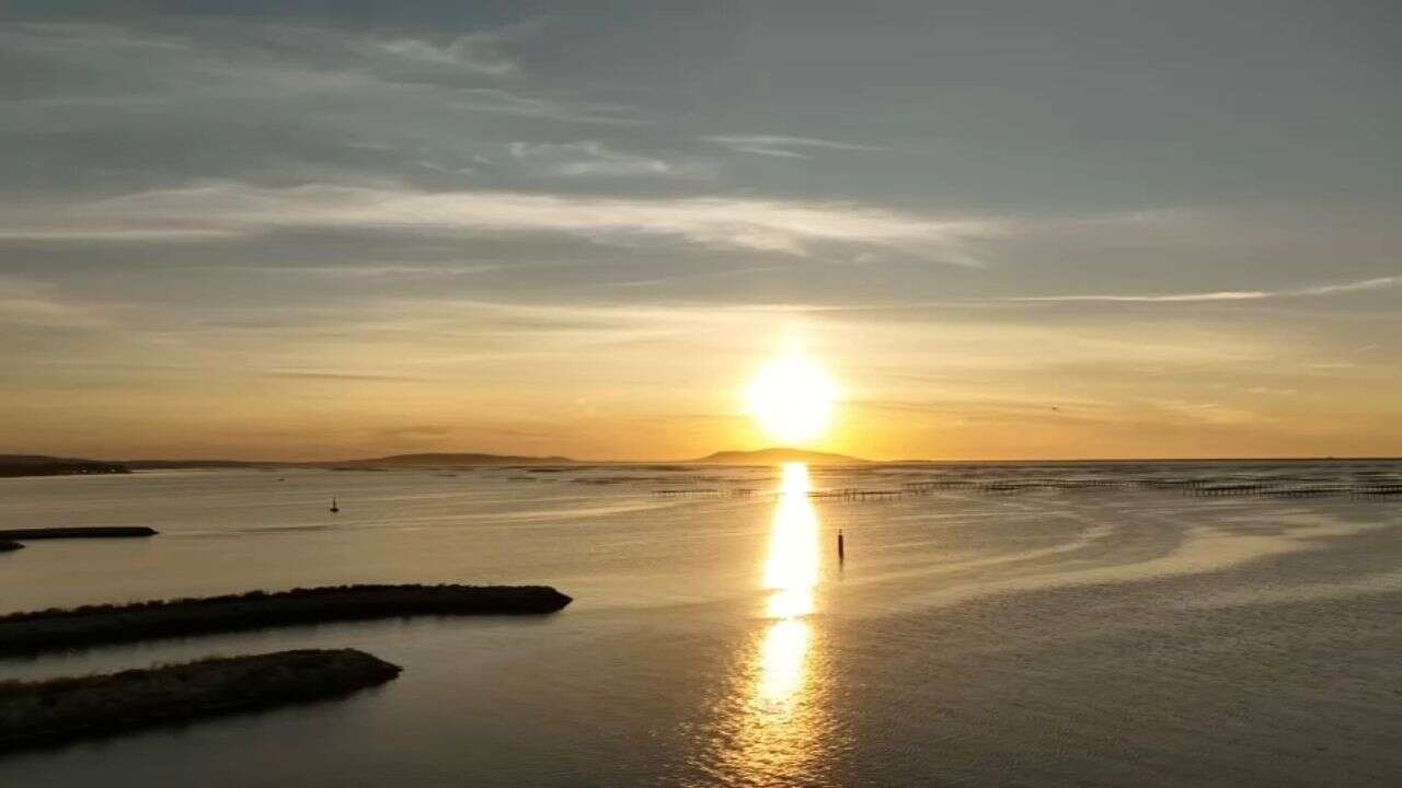 VIDÉO - Tourisme : balade et dégustation au bord de l'eau dans l'Hérault