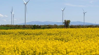 Blackout en Espagne : la cause toujours inconnue, les énergies vertes prises pour cibles