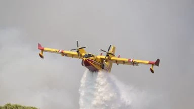 Feu de forêt dans le Maine-et-Loire : la piste d'un incendie volontaire privilégiée