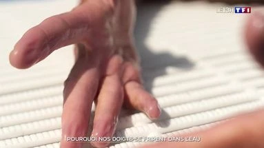 Pourquoi nos doigts se fripent dans l'eau
