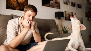 Pour quelles raisons mystérieuses mon chien hurle-t-il comme un loup ?