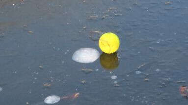 Pourquoi vous devriez laisser une balle de tennis dans vos points d'eau en hiver ?