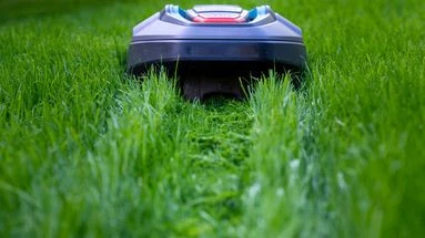 Pourquoi vous ne devez surtout pas faire tourner vos robots tondeuses la nuit !