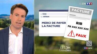 Fraude au virement bancaire : les astuces pour déjouer une tentative d'escroquerie au faux rib