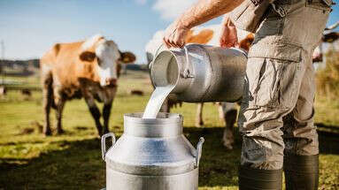 VIDÉO - Crise de l'agriculture : ces producteurs qui parviennent à vendre leur lait au juste prix