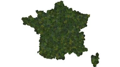 Changement climatique : faut-il croire au nouveau plan d'adaptation de la France ?