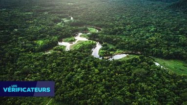 VÉRIF' - COP30 : un milliardaire a-t-il acheté 400.000 hectares de forêt amazonienne pour la protéger ?