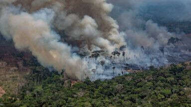 L'Amazonie brésilienne connaît ses plus nombreux incendies en 17 ans : qu'est-ce que ça veut dire ?