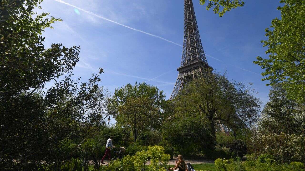 Combien y a-t-il d'arbres en Île-de-France ? On connaît désormais la réponse