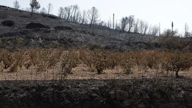 Incendie dans l'Aude : 