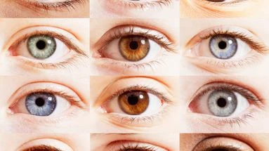Changer la couleur de son iris grâce à la chirurgie n'est pas sans risque, alerte l'Académie de médecine